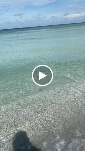 Customer video review of Pantoufle orthopédique