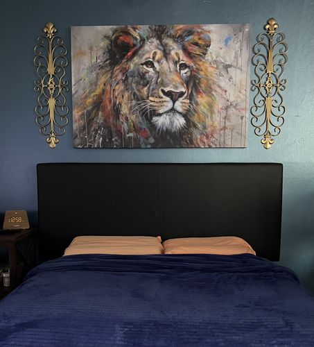 Customer photo review of Urban Jungle: Lion