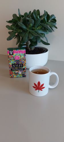 Customer photo review of Thé Vert Instantané À La Menthe - Recette Authentique