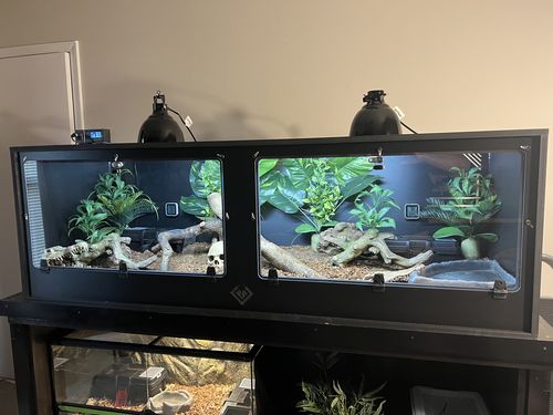 Customer photo review of XT6 (72Lx24Dx24H) - STACKABLE