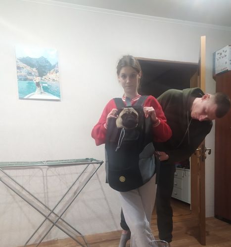 Customer photo review of Pet Dog Carrier Backpack Australia