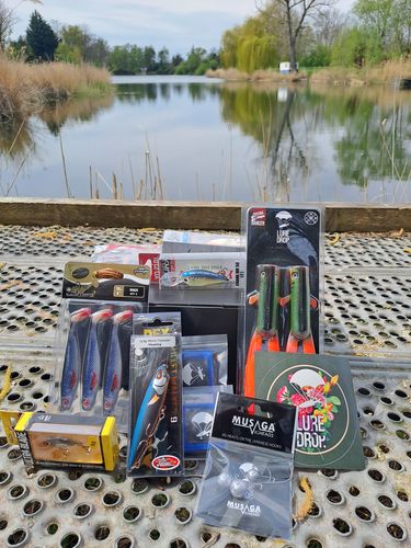 Customer photo review of Lure Drop