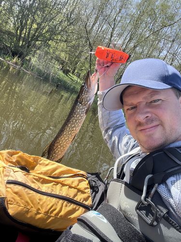 Customer photo review of Lure Drop