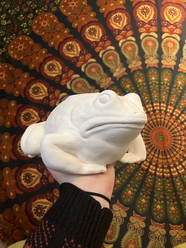 Customer photo review of Bertha the Paintable Toad