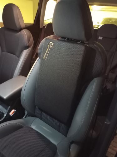 Customer photo review of Giraffe Cushion