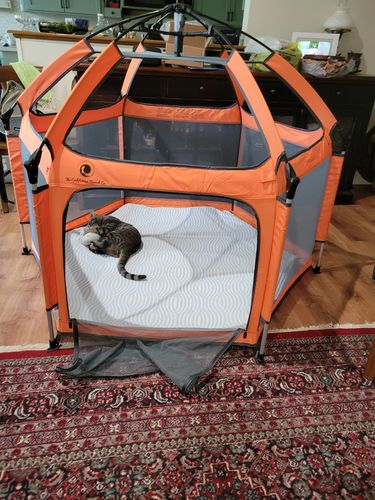 Customer photo review of Route Package Protection
