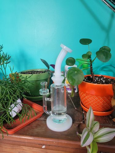 Customer photo review of Mini Bent Neck Honey