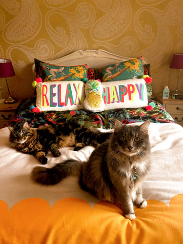 Customer photo review of Yellow Horizontal Scallop Blanket