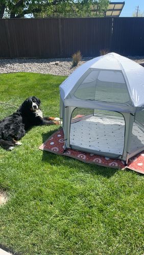 Customer photo review of Pop N' Go™ Playpen