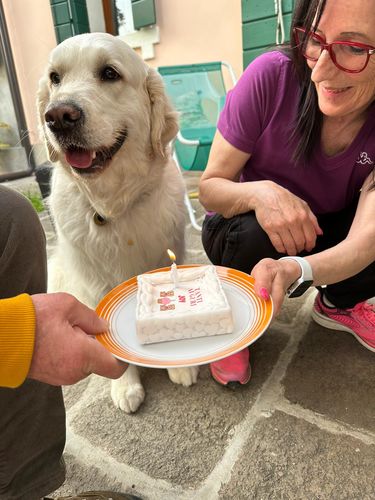 Customer photo review of Torta Per Cani Personalizzabile- Tanti Auguri