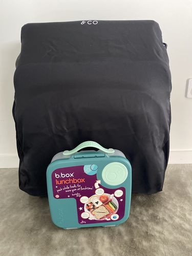 Customer photo review of Edwards & Co Otto Travel Stroller
