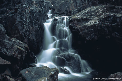 Customer photo review of Woodland+ Subscription