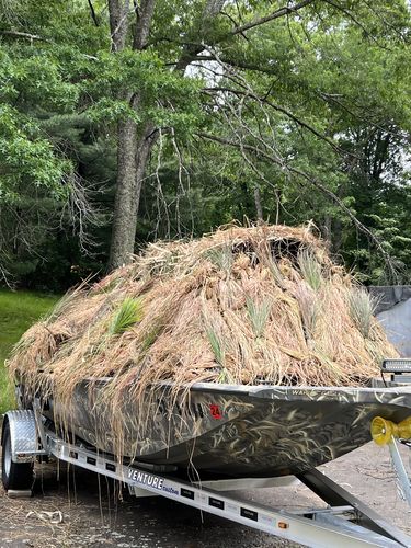 Customer photo review of Hunting Blind Raffia Grass (Pack)