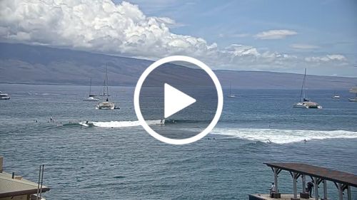 Customer video review of ENDORFINS KELLY SLATER KS1 3-Fin FUTURES Compatible Medium Black White