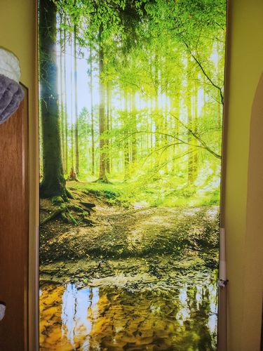 Customer photo review of Acrylglasbild | Wald mit Sonnenstrahlen | Hochformat