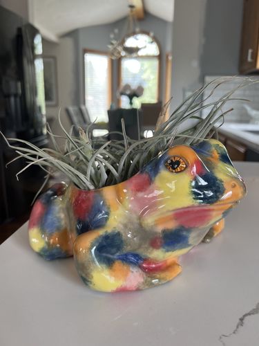 Customer photo review of Croakus the Frog Planter