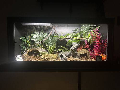 Customer photo review of XT3 36Lx18Dx18H - STACKABLE
