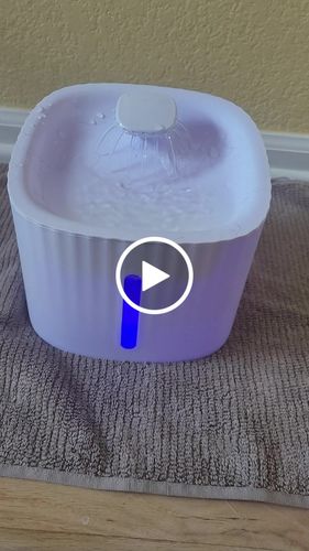 Customer video review of Cat Water Fountain