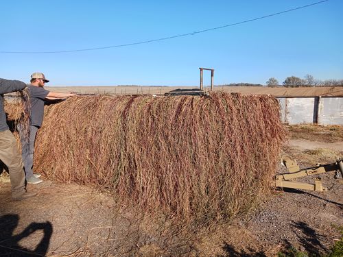 Customer photo review of Hunting Blind Raffia Grass (Pack)