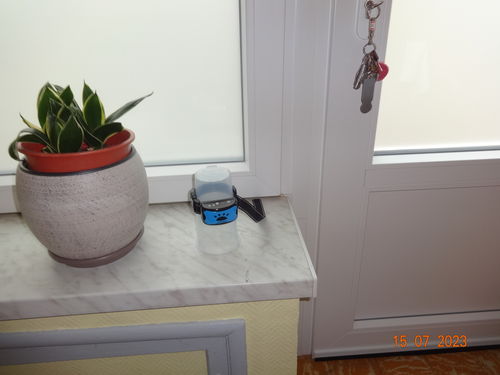 Customer photo review of Collier Anti Aboiement PuppySafe