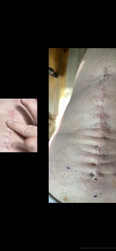Customer photo review of Tallow and Honey Balm