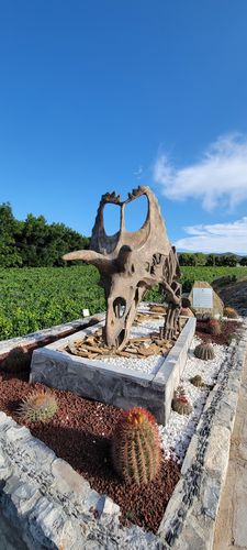 Customer photo review of Recorrido SCIELOMX