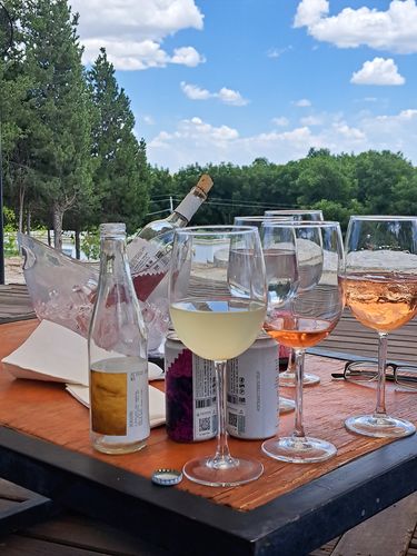 Customer photo review of Recorrido SCIELOMX