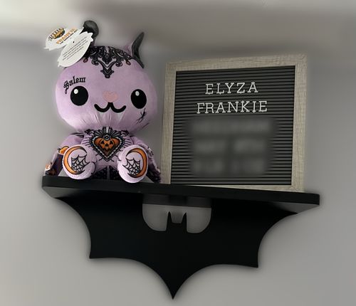 Customer photo review of Frankie the Modeling Bat