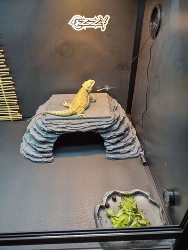 Customer photo review of Zen Cave