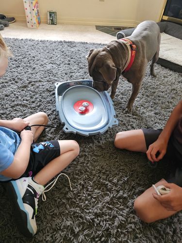 Customer photo review of Takara Tomy Meteo L Drago Beyblade BB-88 LW105LF Metal Masters - With String Launcher