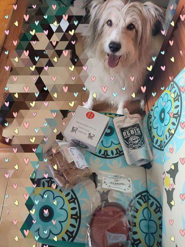 Customer photo review of Gallette Per Cani ForYou Personalizzabili