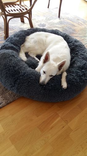 Customer photo review of CalmBed - Motverkar stress & hjälper mot ångest