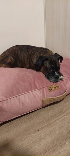 Customer photo review of Cama Para Perro Modelo Origen Kuapets Palo Rosa - Café