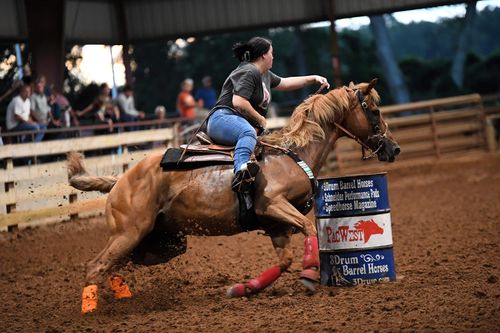 Customer photo review of Osteo-MAX & Gut X » up to 53% Savings