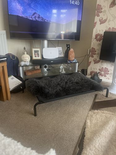 Customer photo review of Dark Grey Sheepskin