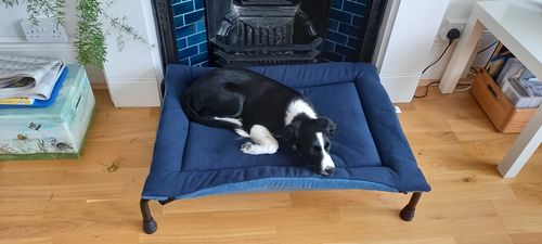 Customer photo review of HiK9 Bed with Grey Mesh Cover