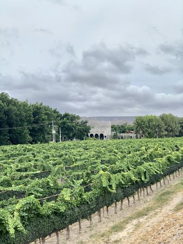 Customer photo review of Recorrido SCIELOMX