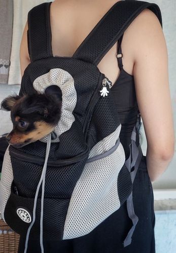 Customer photo review of Mochila Adventure ®para cão ou gato de verão 2023🐶🔥 GRANDE PROMOÇÃO 40% DE DESCONTO 🔥