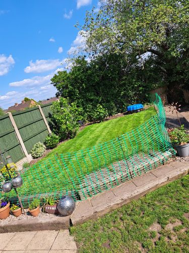 Customer photo review of The Lawn 'From Scratch' Pack