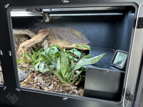 Customer photo review of XT4 BIO (48Lx24Dx24H) - STACKABLE
