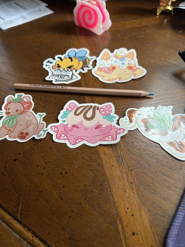 Customer photo review of Octo Ice Cream Stickers!