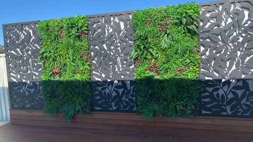 Customer photo review of Luxury Country Fern Artificial Vertical Garden / Green Wall 100cm x 100cm UV Resistant