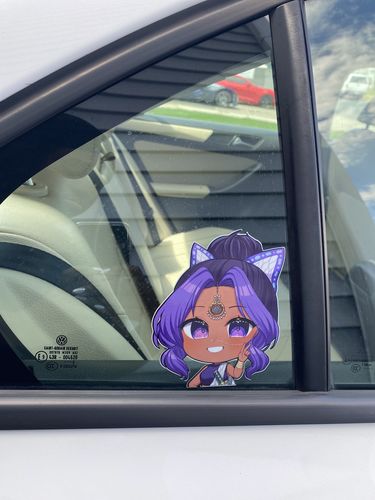 Customer photo review of Desi Shinobu Car Decal
