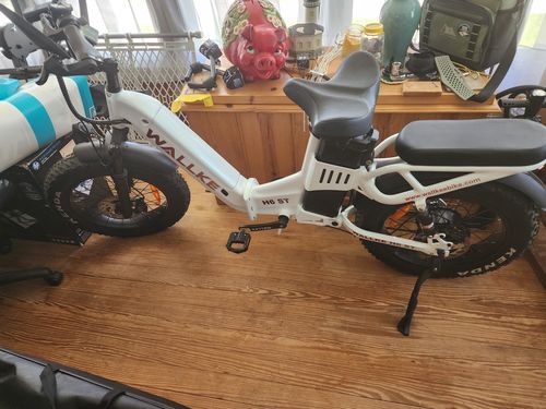 Customer photo review of Wallke H6 Dual Battery Step-Thru Folding Electric Bike