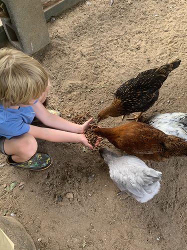 Customer photo review of GrubTerra Dried Larvae