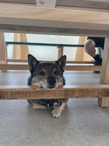 Customer photo review of Explorer Silicone