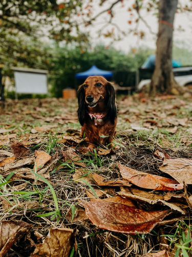 Customer photo review of Ultimate Preset Bundle
