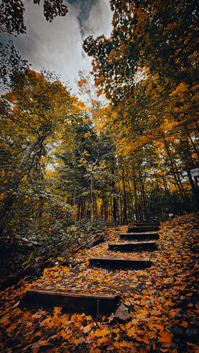 Customer photo review of Ultimate Preset Bundle