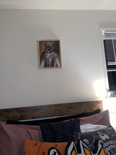 Customer photo review of The Queen - Custom Vintage Pet Portrait