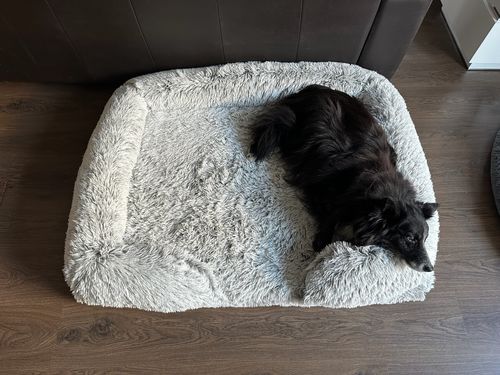 Customer photo review of PaWz Pet Orthopaedic Bed